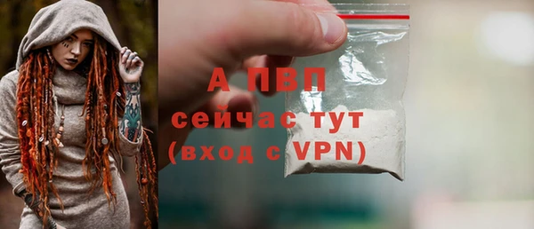 шишки Михайлов