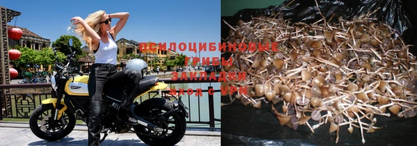 мяу мяу кристалл Белокуриха