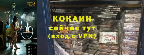 шишки Михайлов