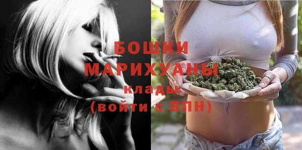 дживик Белоозёрский