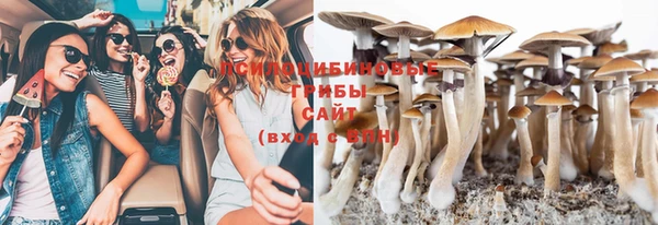 прущие крисы Михайловск