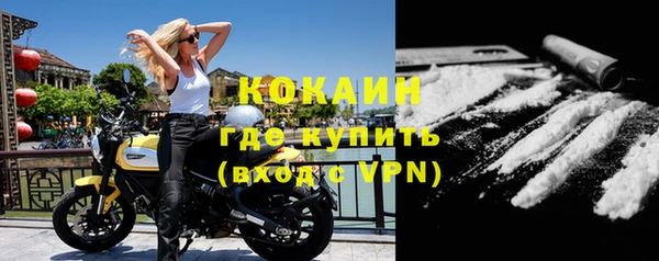шишки Михайлов