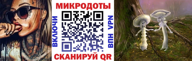Галлюциногенные грибы MAGIC MUSHROOMS  Купить закладки  Анадырь 